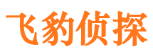 定远寻人公司